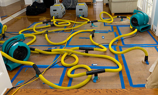 Professional Crawl Space Water Removal technician working in Columbus, NC